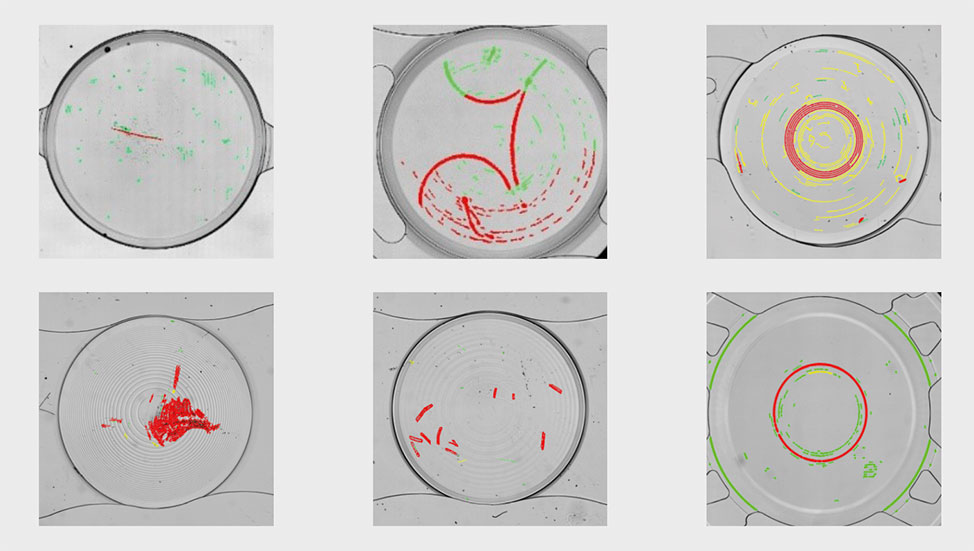 Examples from QualiLENS defect list