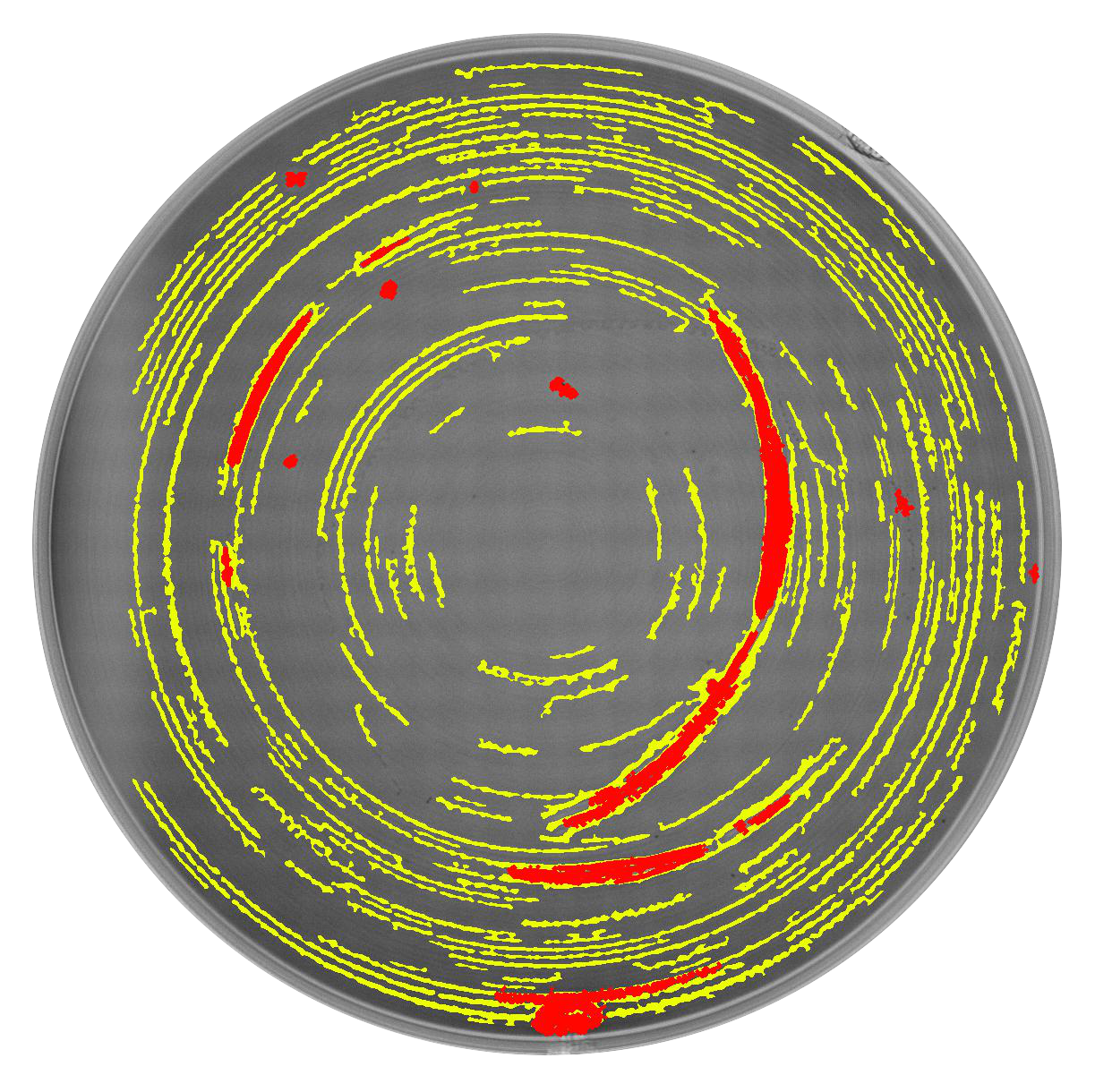 lentille avec identification défauts de rayures